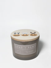 Sand + Paws Pumpkin Harvest 12 oz scented candle