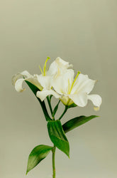 Gardenia 100 ml Reed Diffuser