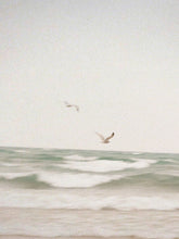 Clean Waves 100 ml Reed Diffuser