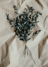 Eucalyptus 107 ml Room Spray