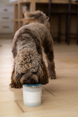 Sand + Paws Frazier Fir 21 oz scented candle