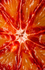 Sand + Paws Tarocco Orange 12 oz scented candle