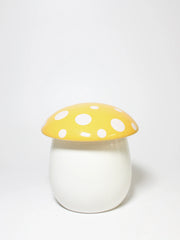 Lemongrass 10 oz scented candle