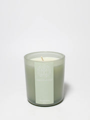 Eucalyptus 10 oz scented candle