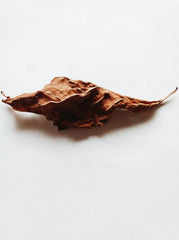 Vanilla Tobacco 100 ml Room Spray