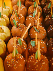 Winter Candy Apple 20 oz Liquid Hand Soap