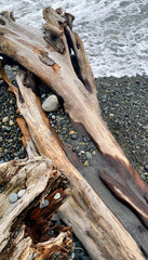 Ocean & Driftwood 100 ml Room Spray