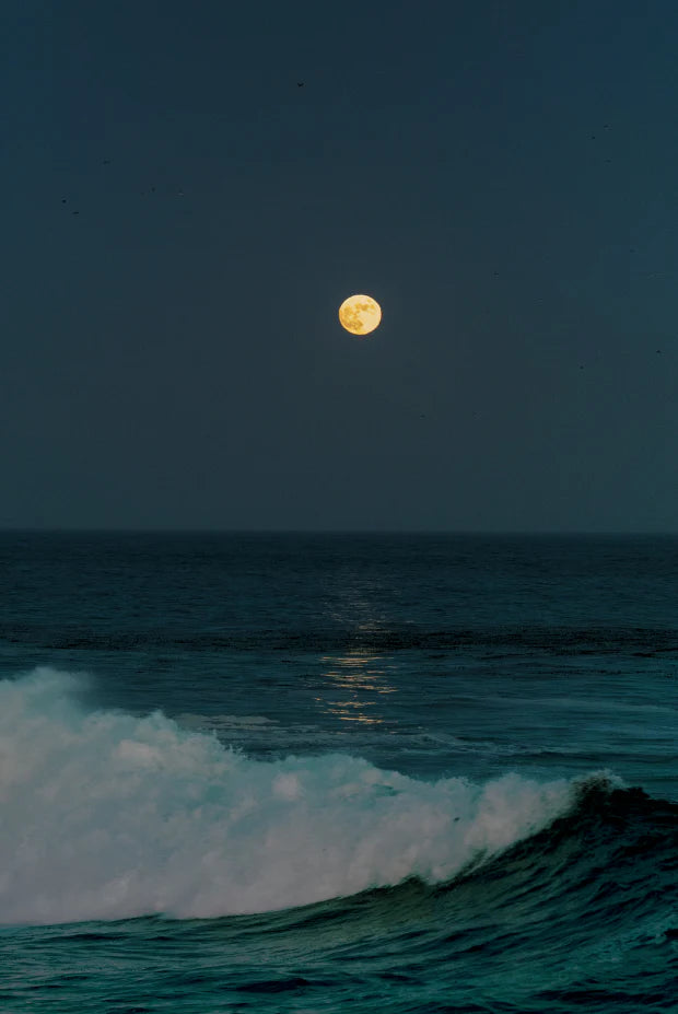 Tides of the Moon 25 oz scented candle