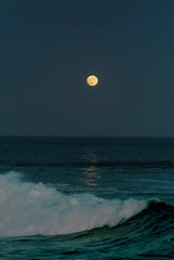 Tides of the Moon Natural Home 11.5 oz scented candle