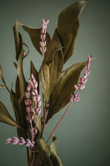 Lavender Vanilla 15.7 oz Liquid Hand Soap