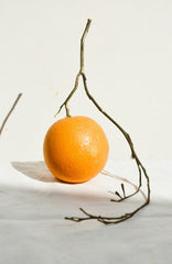 Citrus & Sandalwood 12 oz scented candle