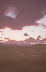 Sand + Paws Desert Rain 12 oz scented candle