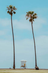 Newport 23 oz scented candle