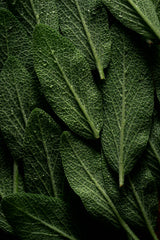 Sage & Sea Salt 10 oz scented candle