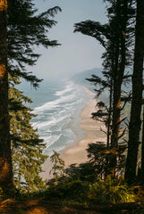 Pacific Coast 21 oz scented candle