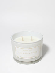 Pine & Eucalyptus 12 oz scented candle