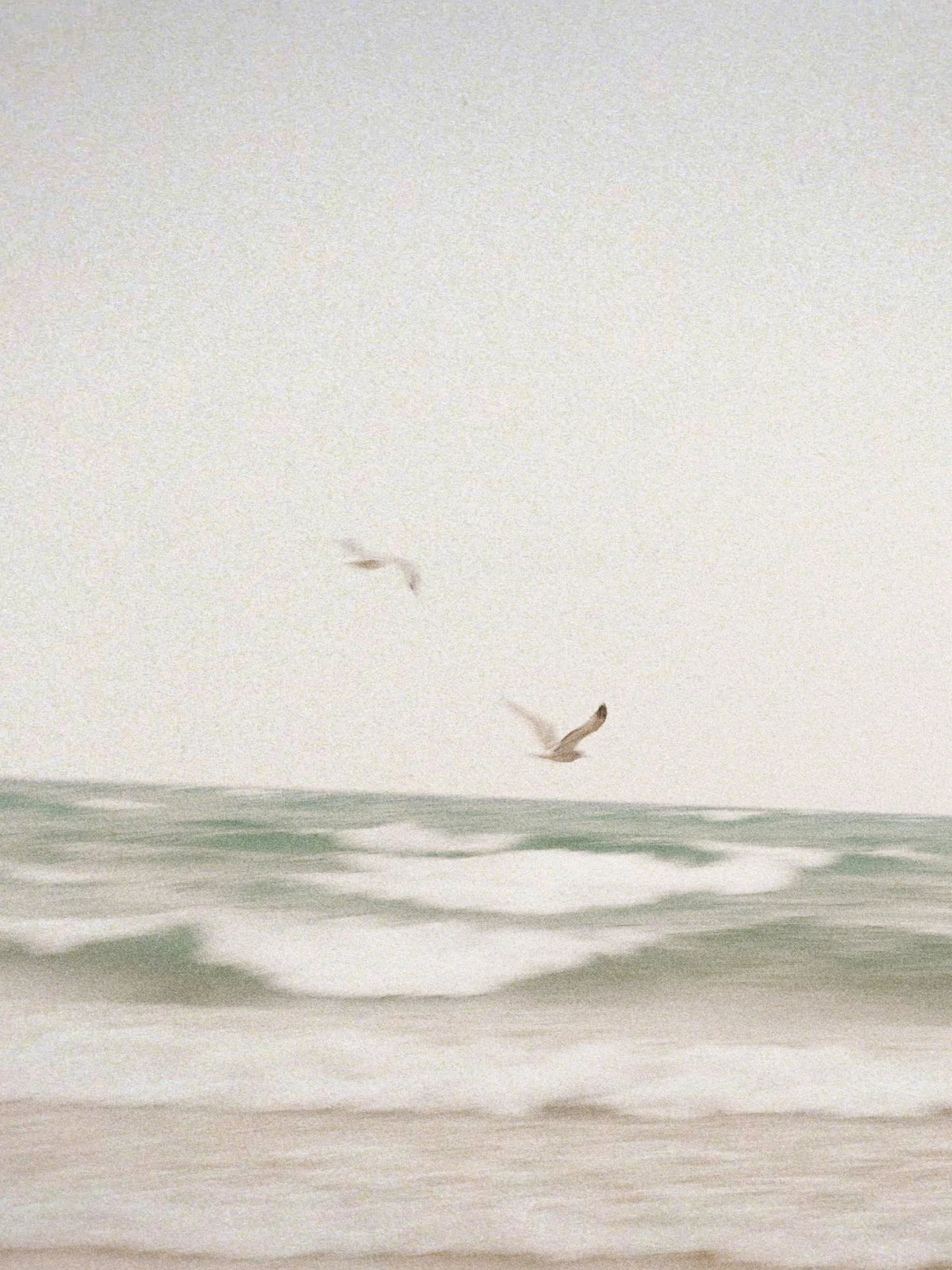 Clean Waves 100 ml Reed Diffuser