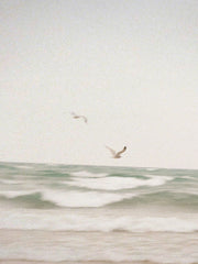 Clean Waves 110 ml Reed Diffuser