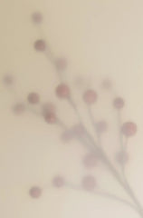 Sand + Paws Goji Berry 12 oz scented candle