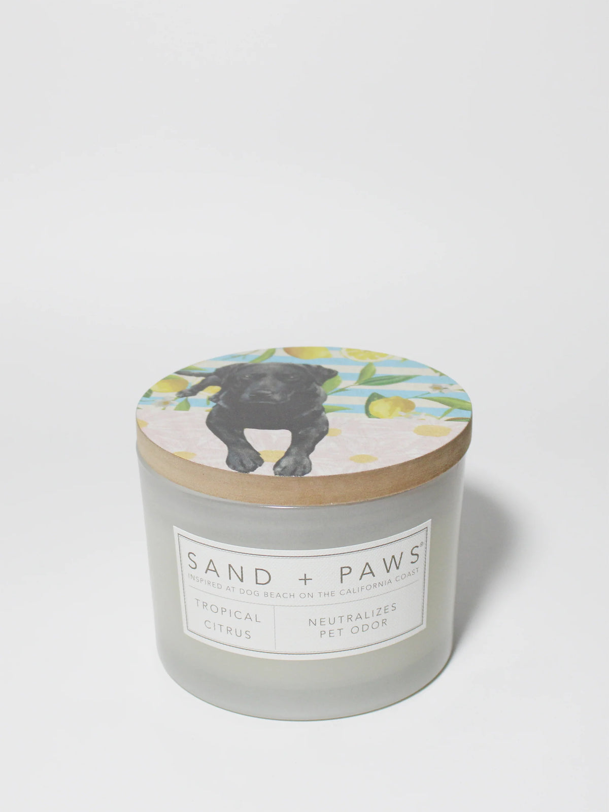 Sand + Paws Tropical Citrus 12 oz scented candle