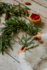 Fresh Cut Pine 12 oz scented candle