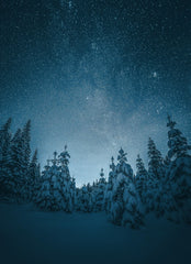 Starry Christmas 15.7 oz Liquid Hand Soap