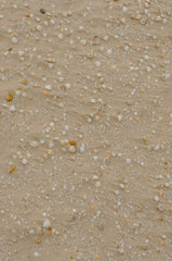 Ocean & Sea Salt 110 ml Reed Diffuser