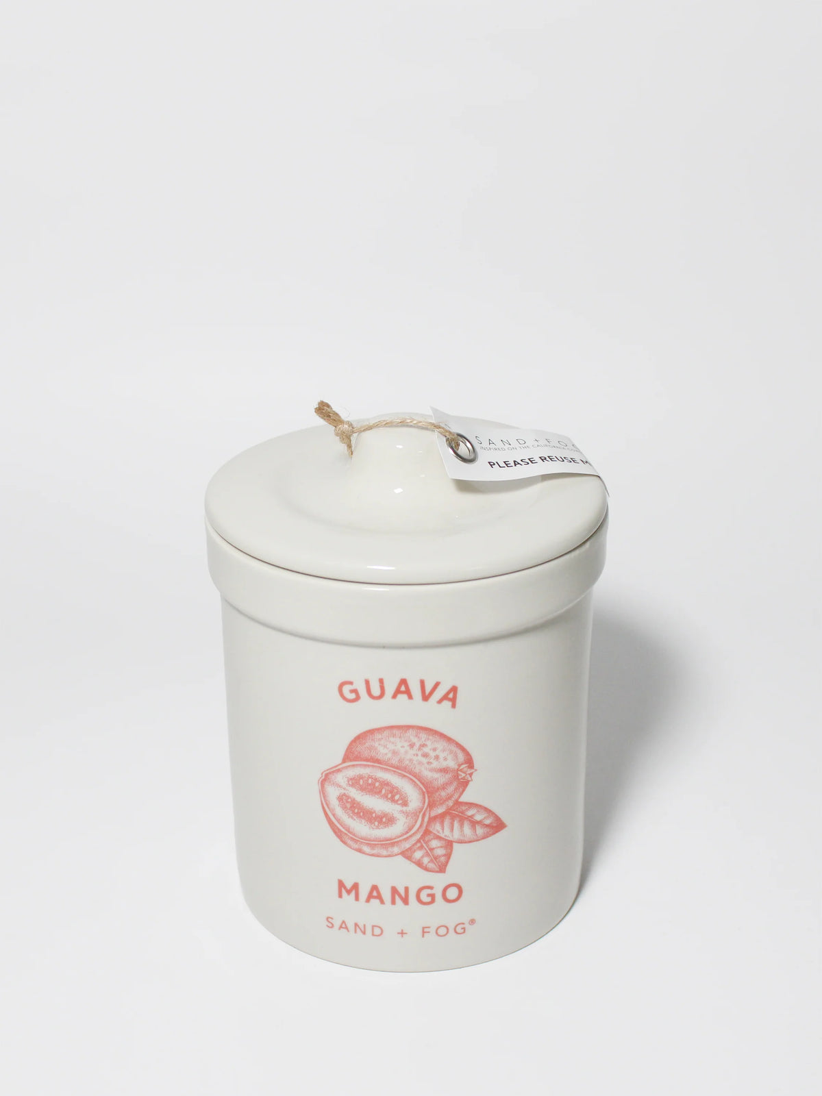 Guava Mango 17.5 oz scented candle
