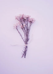 Violet & Vanilla 12 oz scented candle