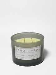 Sand + Paws Pineapple Coconut 12 oz scented candle