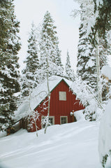 Winter White 15.7 oz Liquid Hand Soap