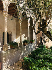 Olive Tree & Lemon 12 oz scented candle