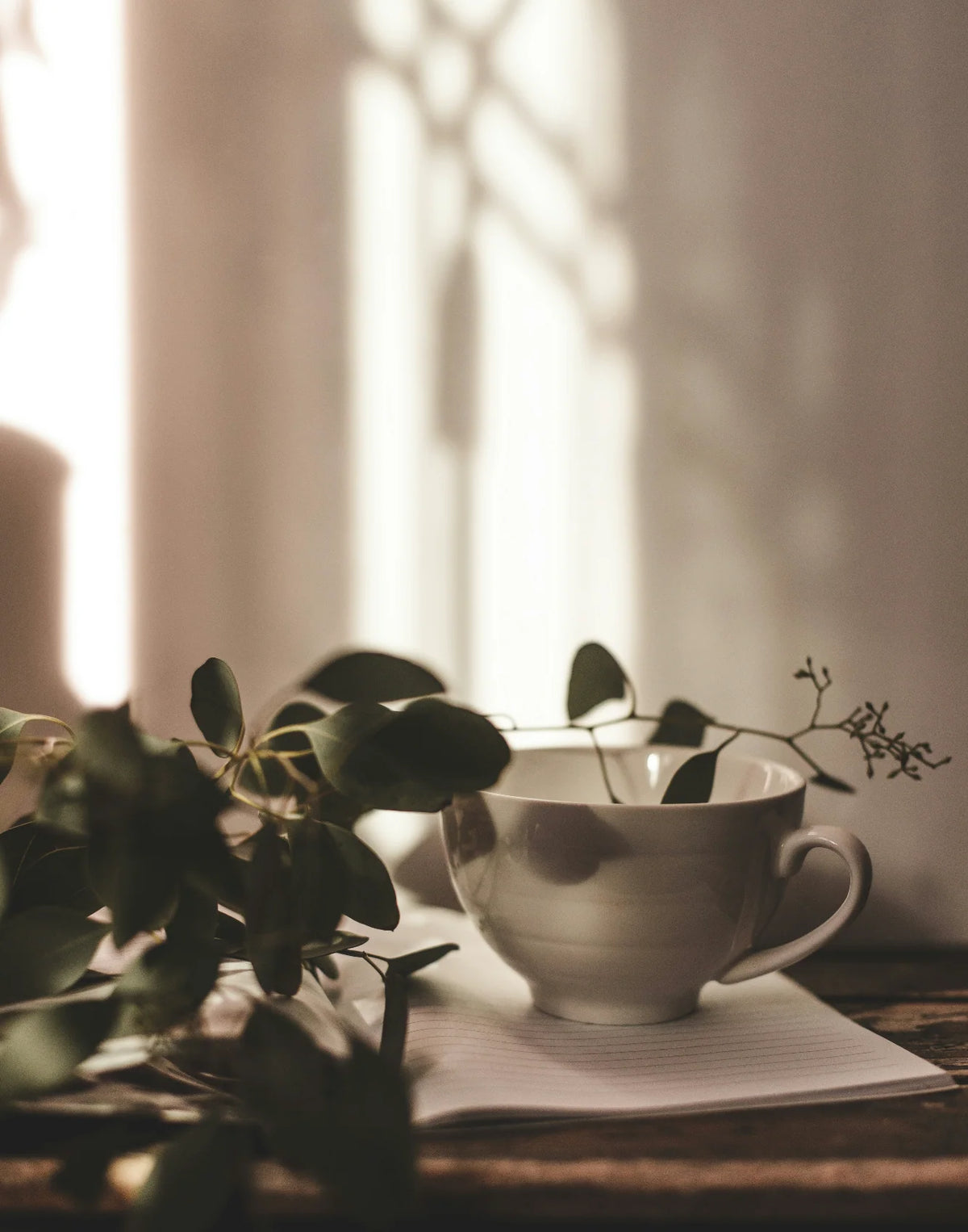 Sand + Paws Eucalyptus Mint 12 oz scented candle