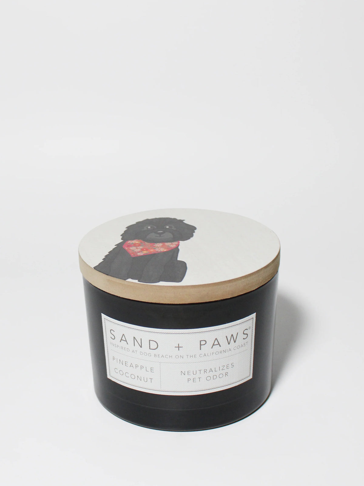 Sand + Paws Pineapple Coconut 12 oz scented candle