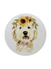 Sand + Paws Mango Tangerine 12 oz scented candle