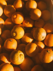 Sand + Paws Golden Citrus 12 oz scented candle