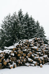 Firewood & Silver Fir 6 oz scented candle