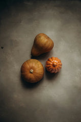 Sand + Paws Spiced Pumpkin 12 oz scented candle