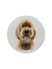 Sand + Paws Teakwood 12 oz scented candle