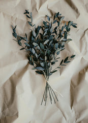 Eucalyptus 100 ml Room Spray