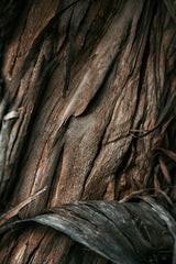 Vanilla Sandalwood 107 ml Room Spray