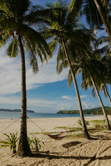 Tahitian Vanilla 34 oz scented candle