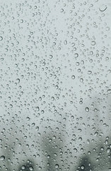 Sand + Paws Rain 12 oz scented candle