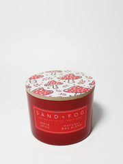 Apple Spice 12 oz scented candle